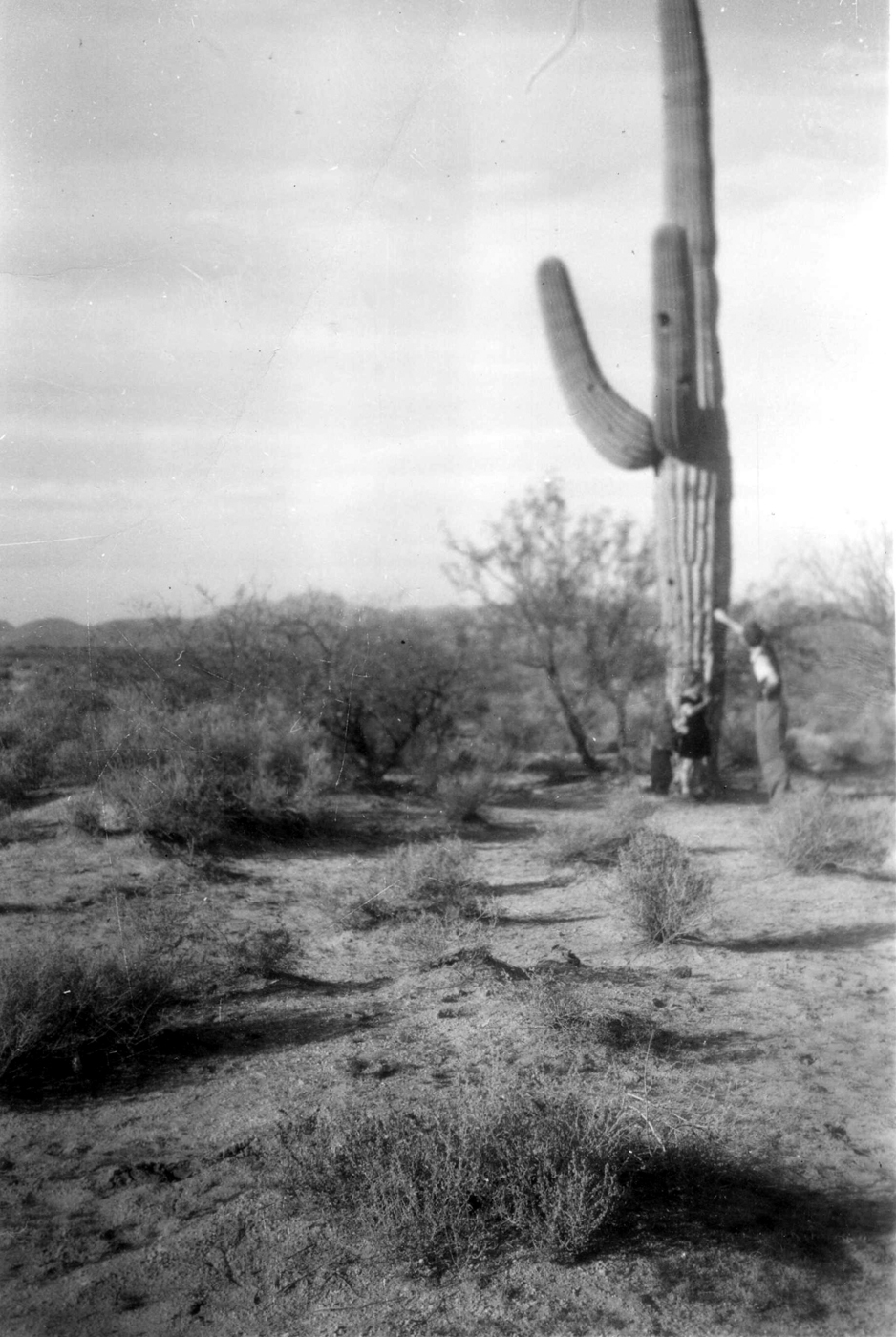 Driving Cross Country